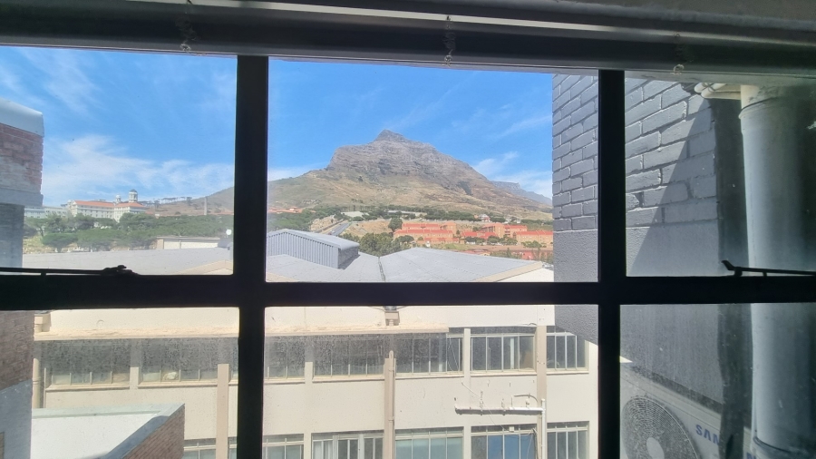 Commercial Property for Sale in Salt River Western Cape